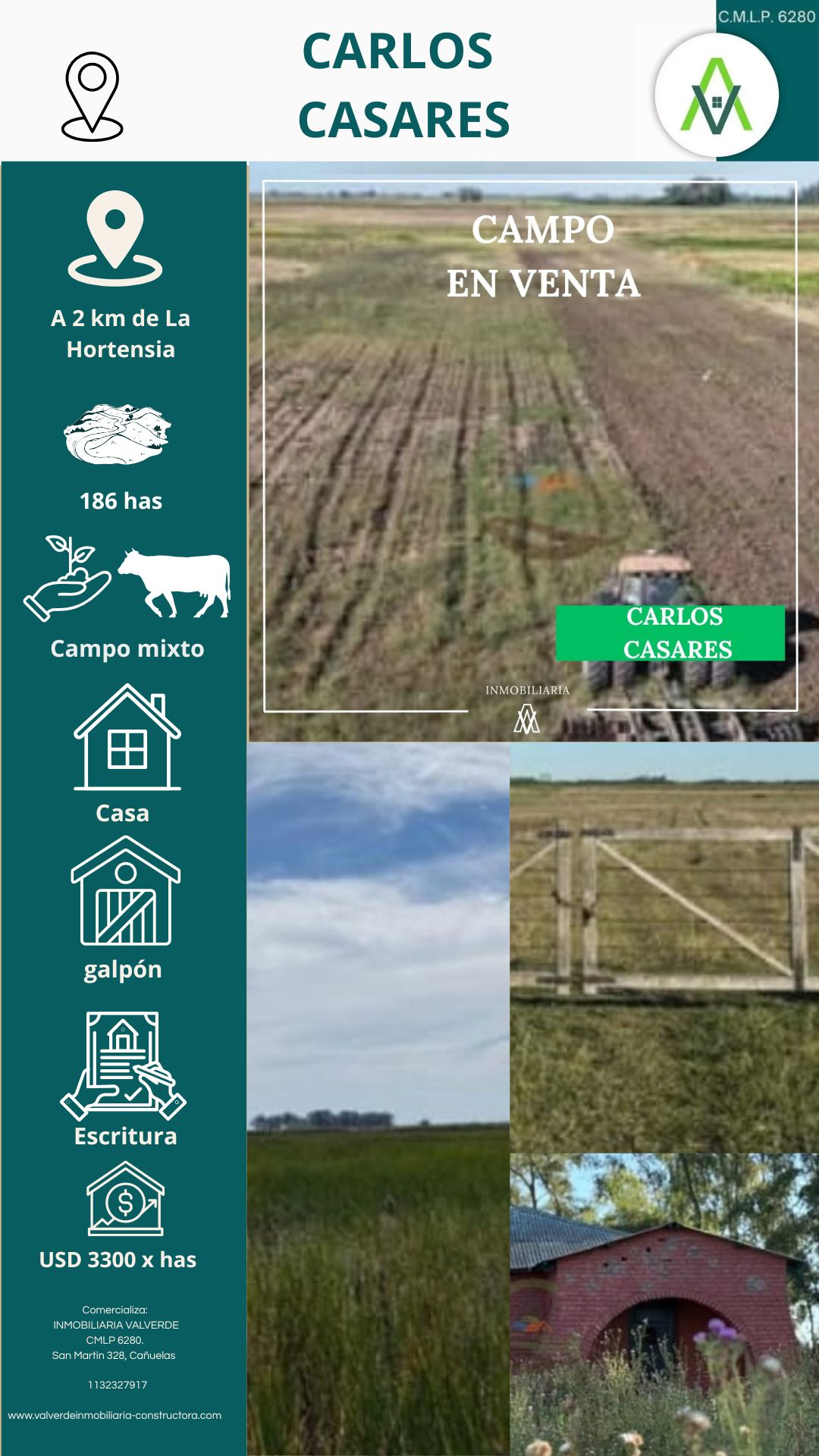 Campo en Carlos Casares 186 has