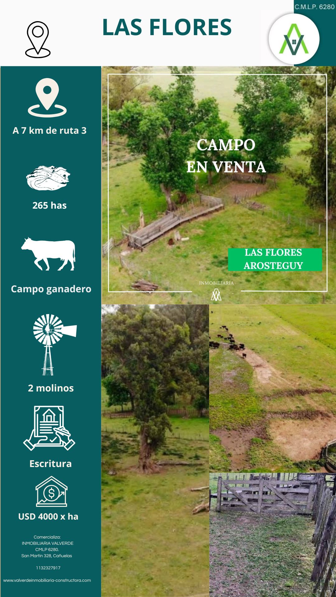 Campo en Las Flores 265 has