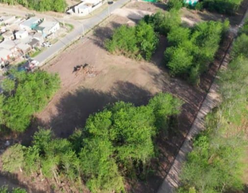LOTE CAÑUELAS/LA ESTACIÓN