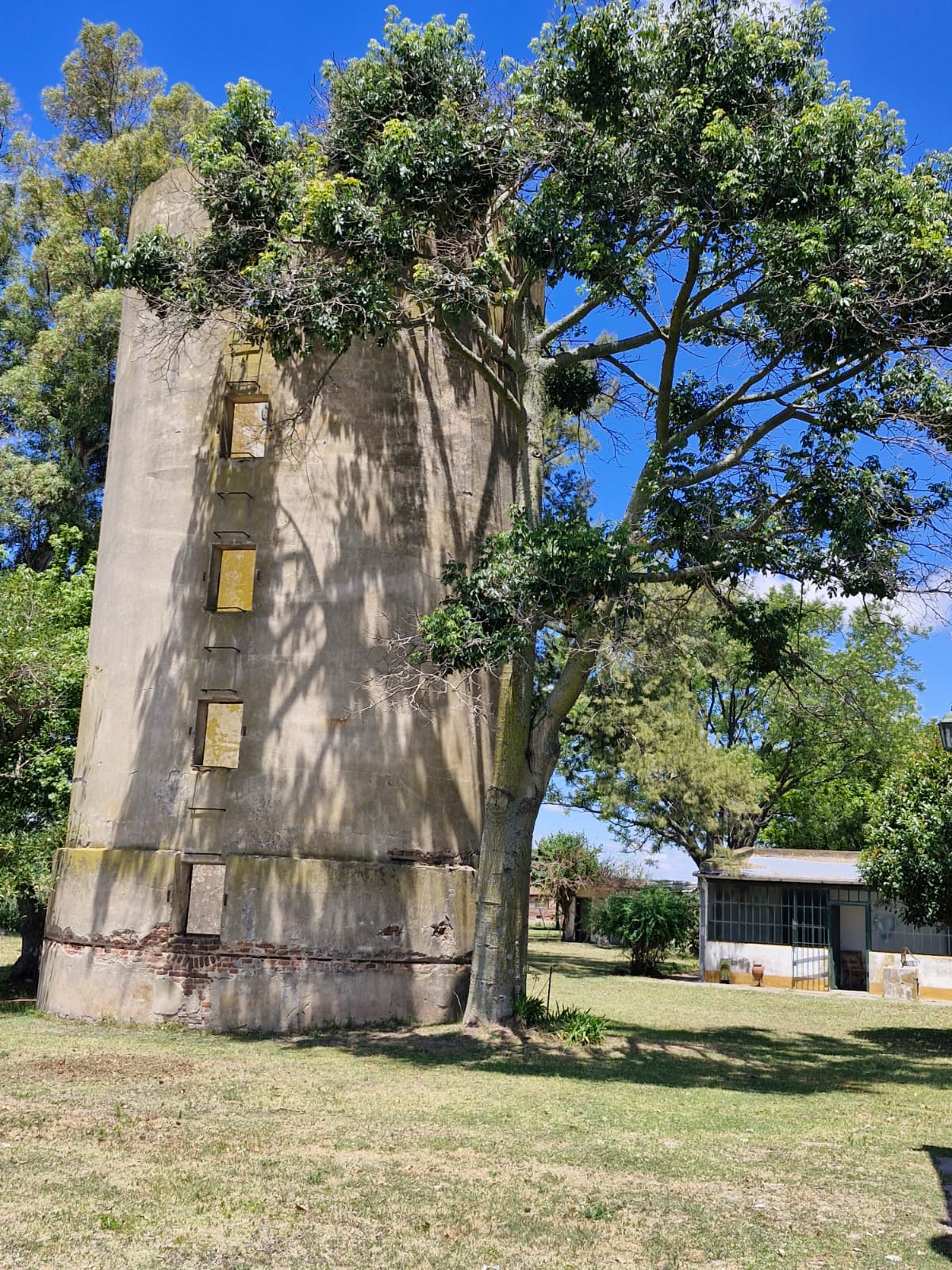 CAMPO EN SAN VICENTE