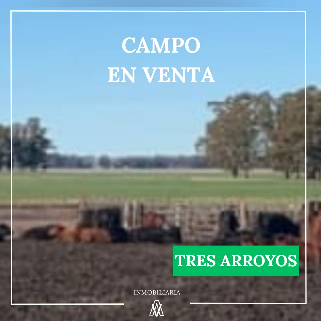 Campo en Tres Arroyos 1003 has