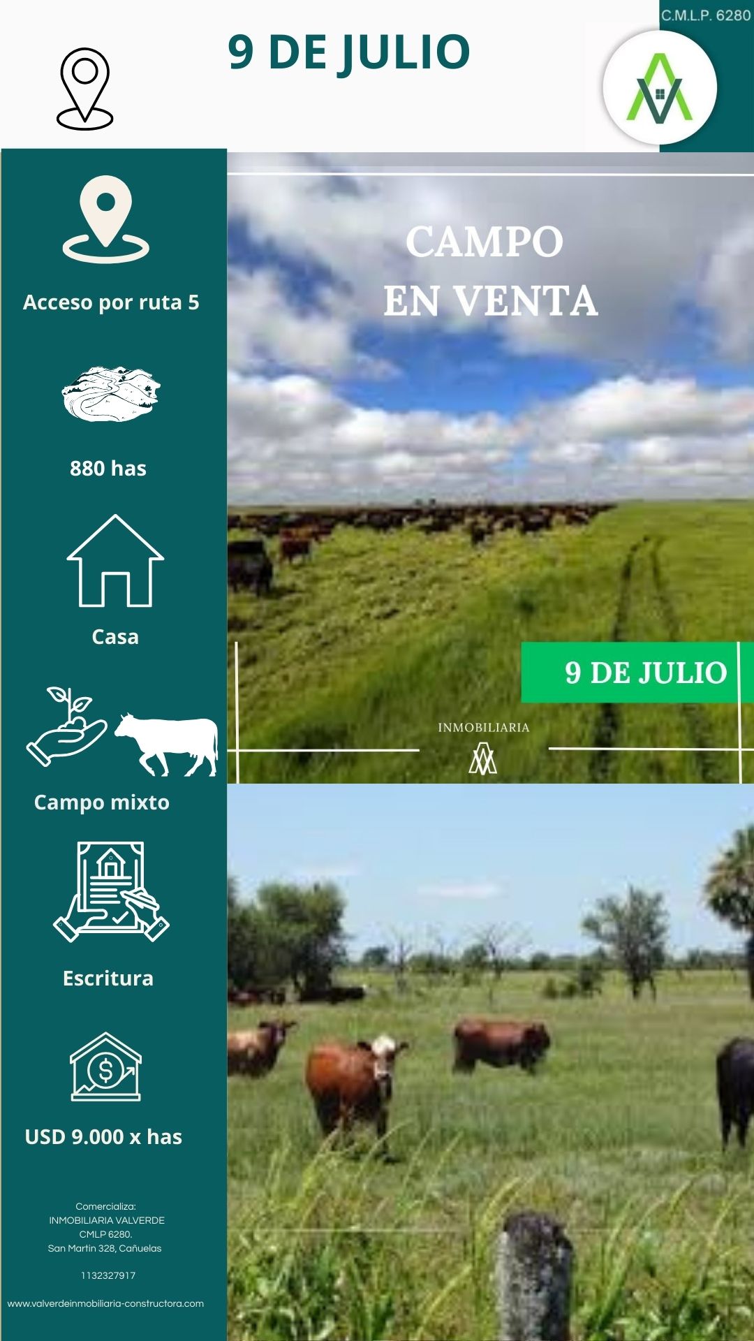 Campo de 880 has en 9 De Julio