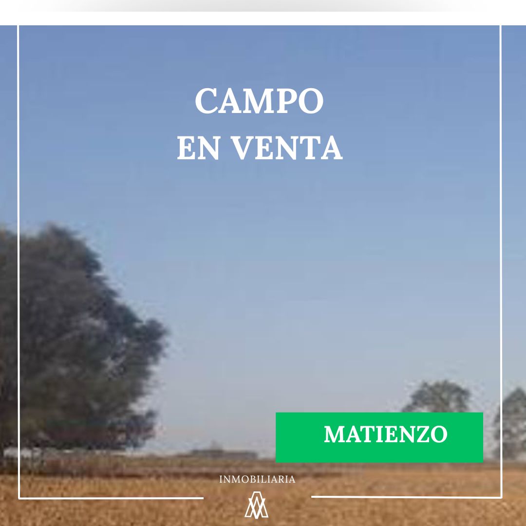 CAMPO EN MATIENZO