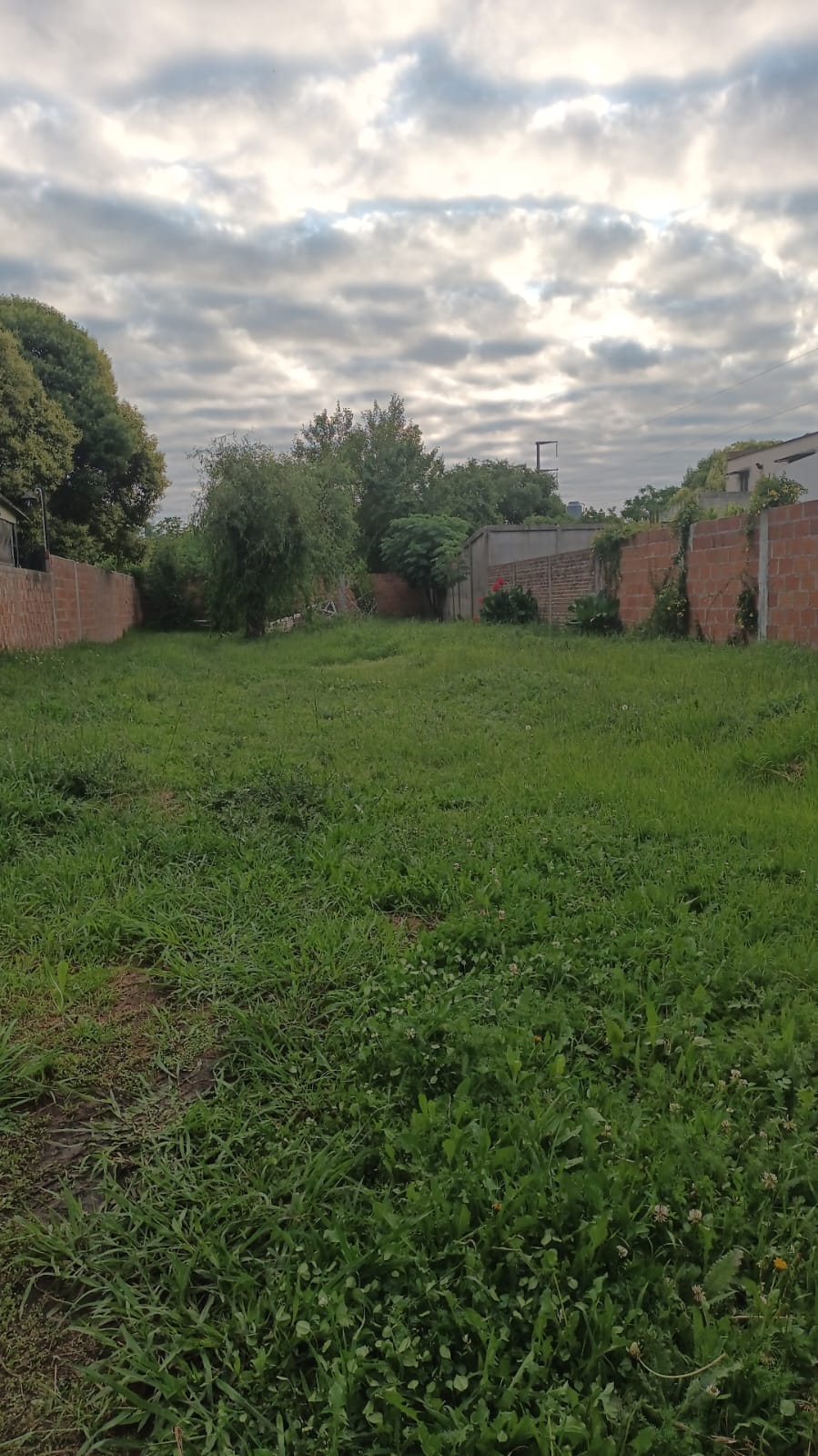 LOTE CAÑUELAS/LOS AROMOS