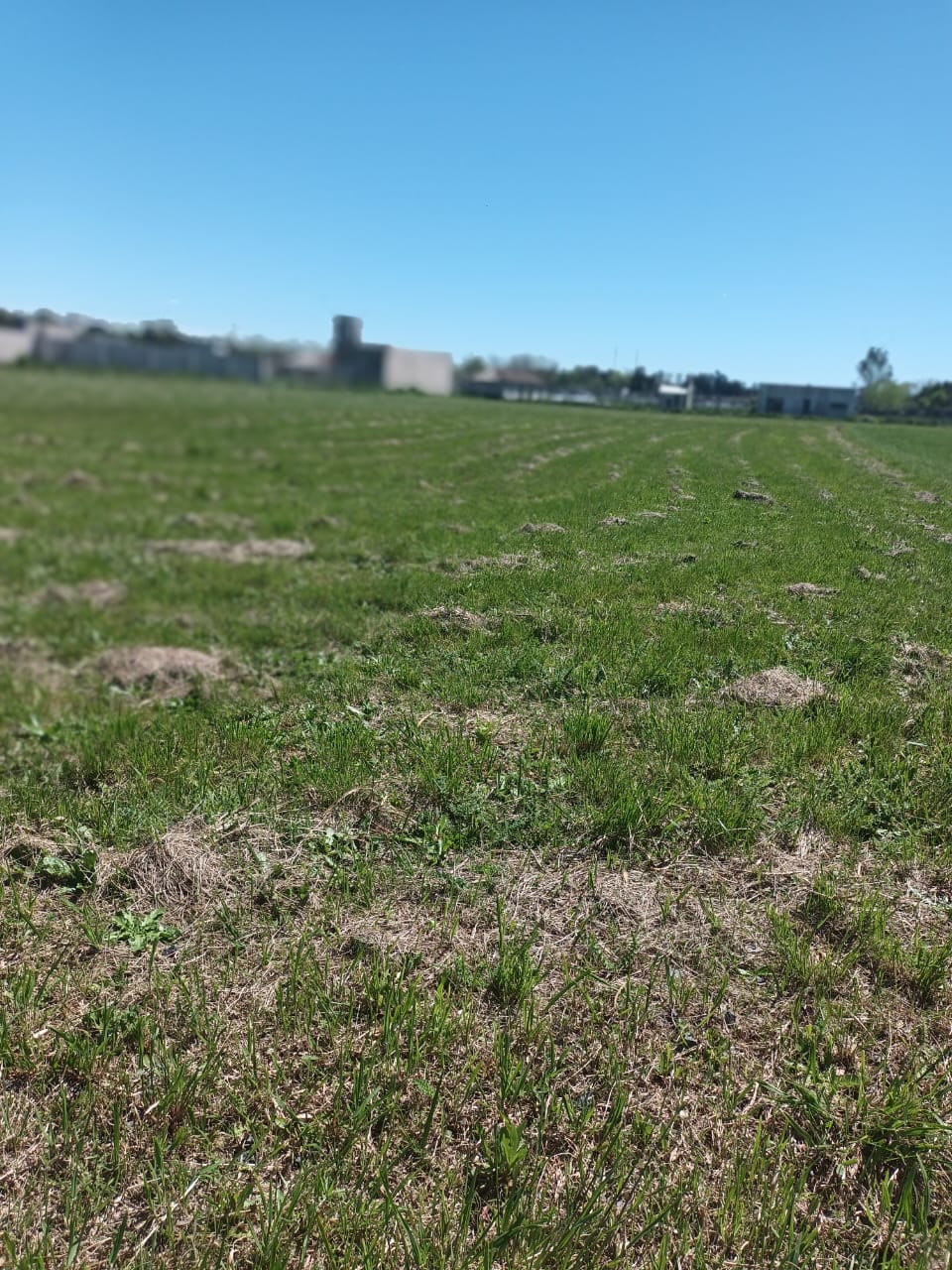 LOTE EN CAÑUELAS /SANTA ANITA