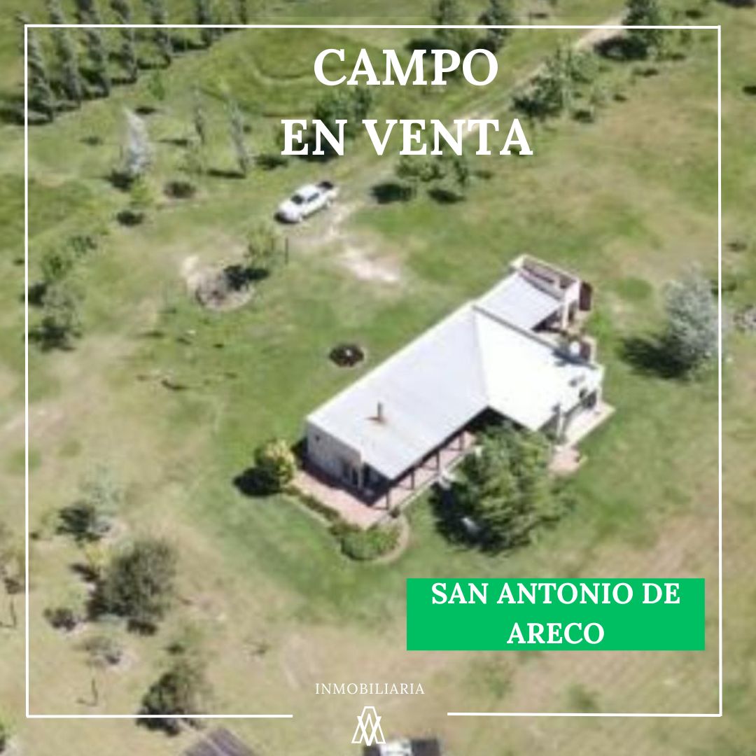 Campo en San antonio de Areco 40 has
