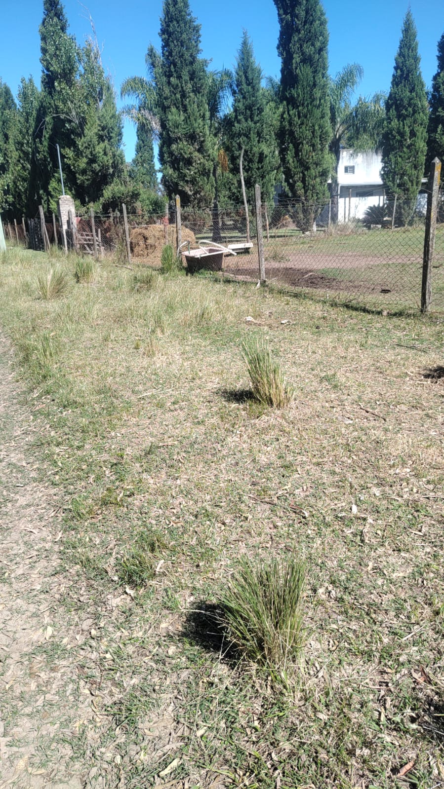 Lote de 5000mt2 en Pilar