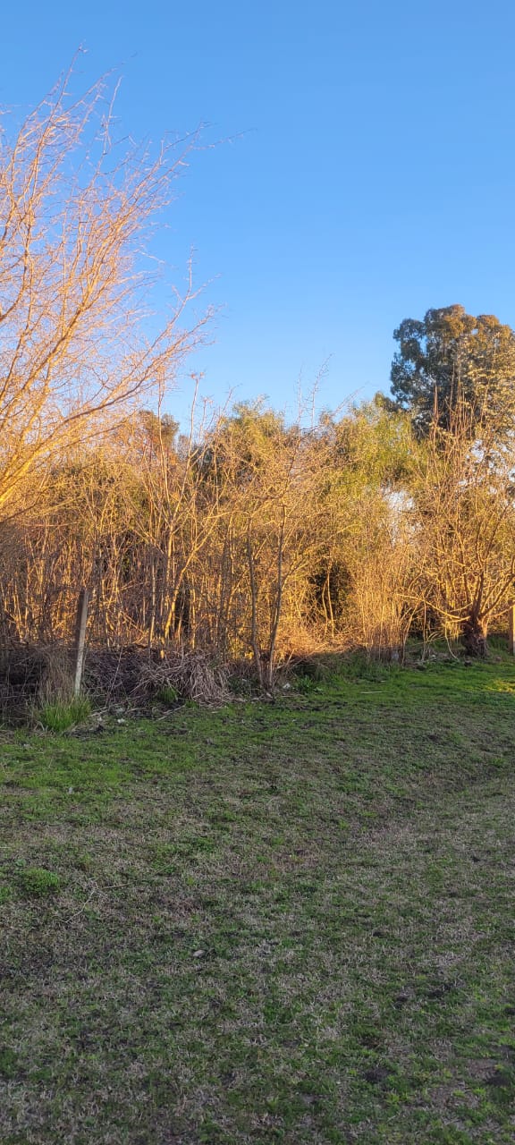 Fracción/Parcela en Santa Anita-Cañuelas