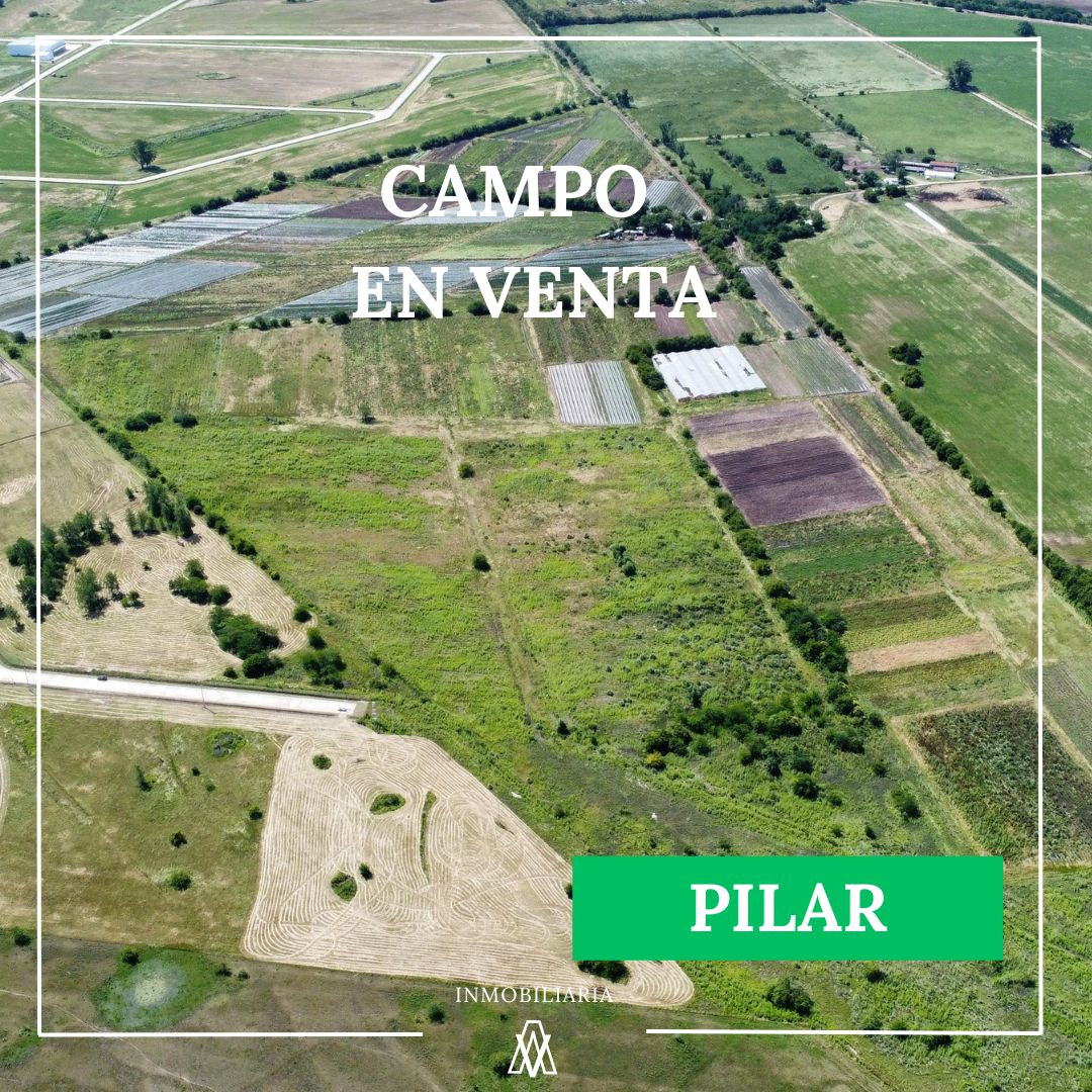 CAMPO EN VENTA EN PILAR