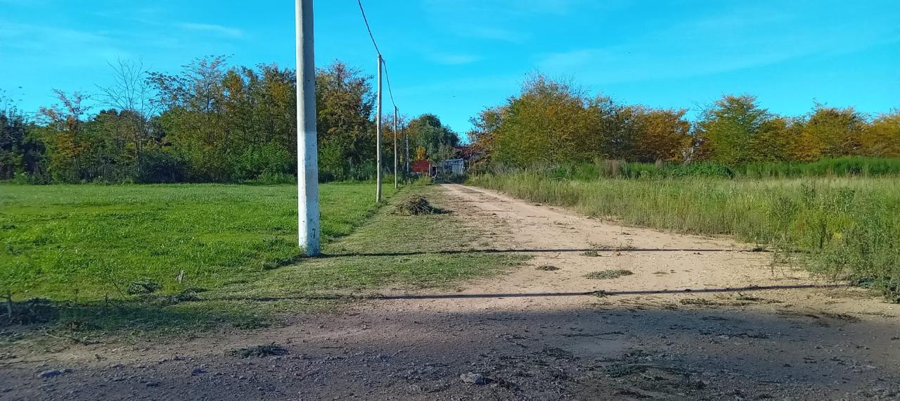 LOTE CAÑUELAS/LAS MAGNOLIAS