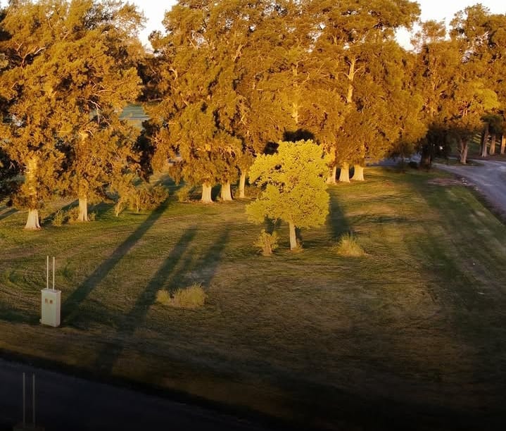 LOTE EN ALEJANDRO PETIÓN