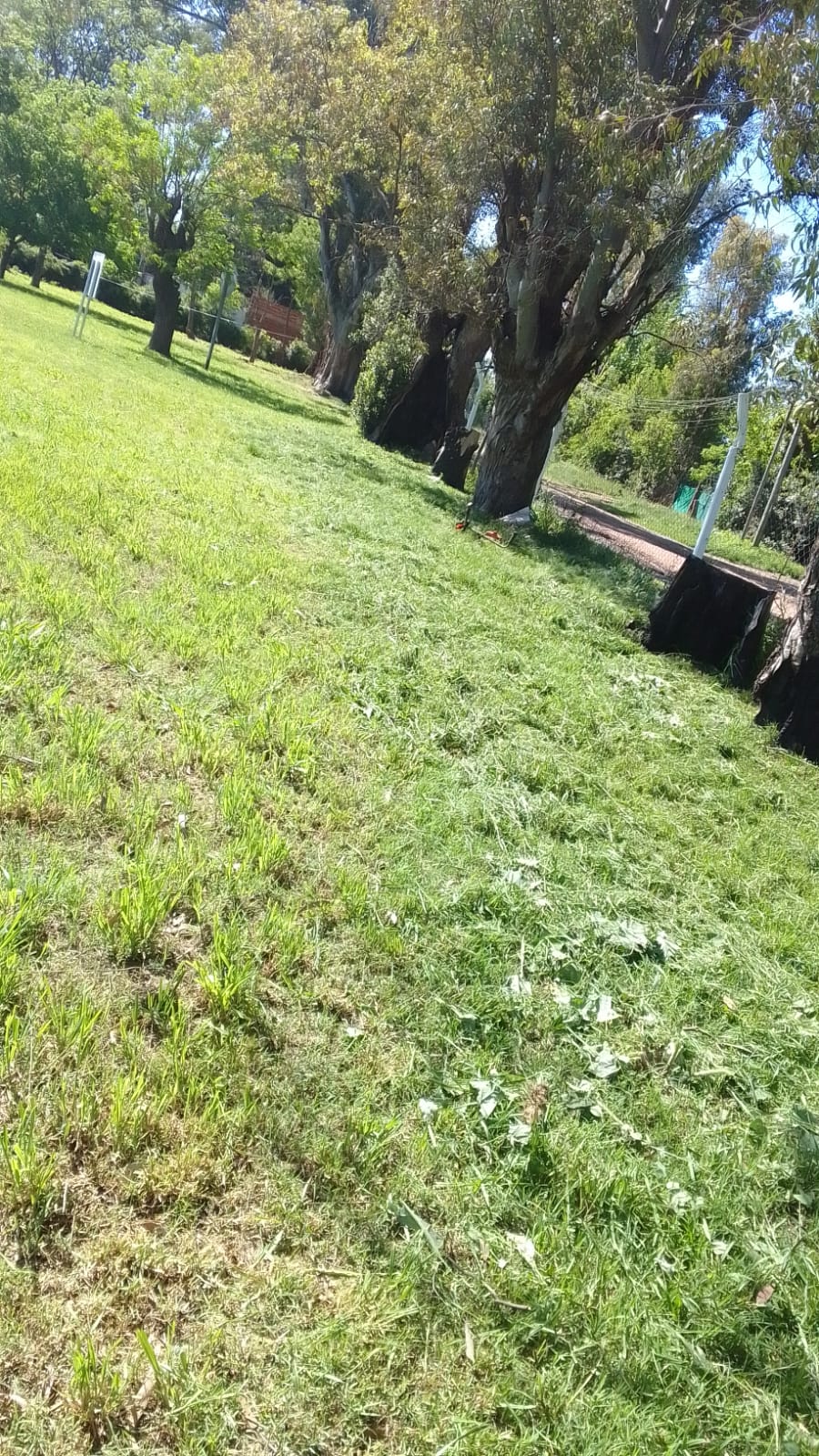 CAMPO MARIANO ACOSTA/BRISAS DE RÍO ALEGRE