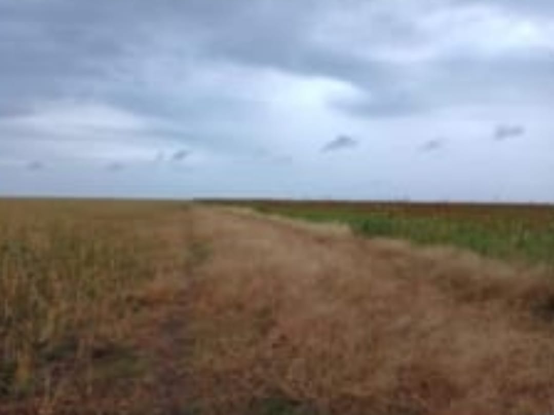 Campo en General Pinto 1012 has