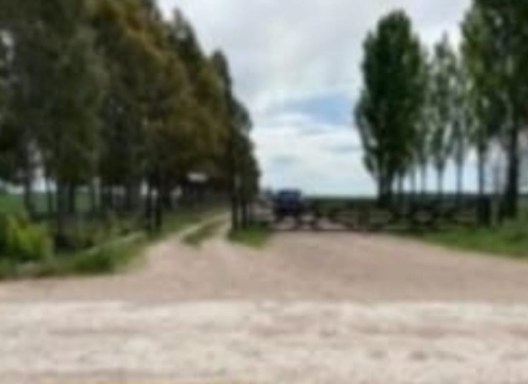 Campo en San Cayetano 505 has