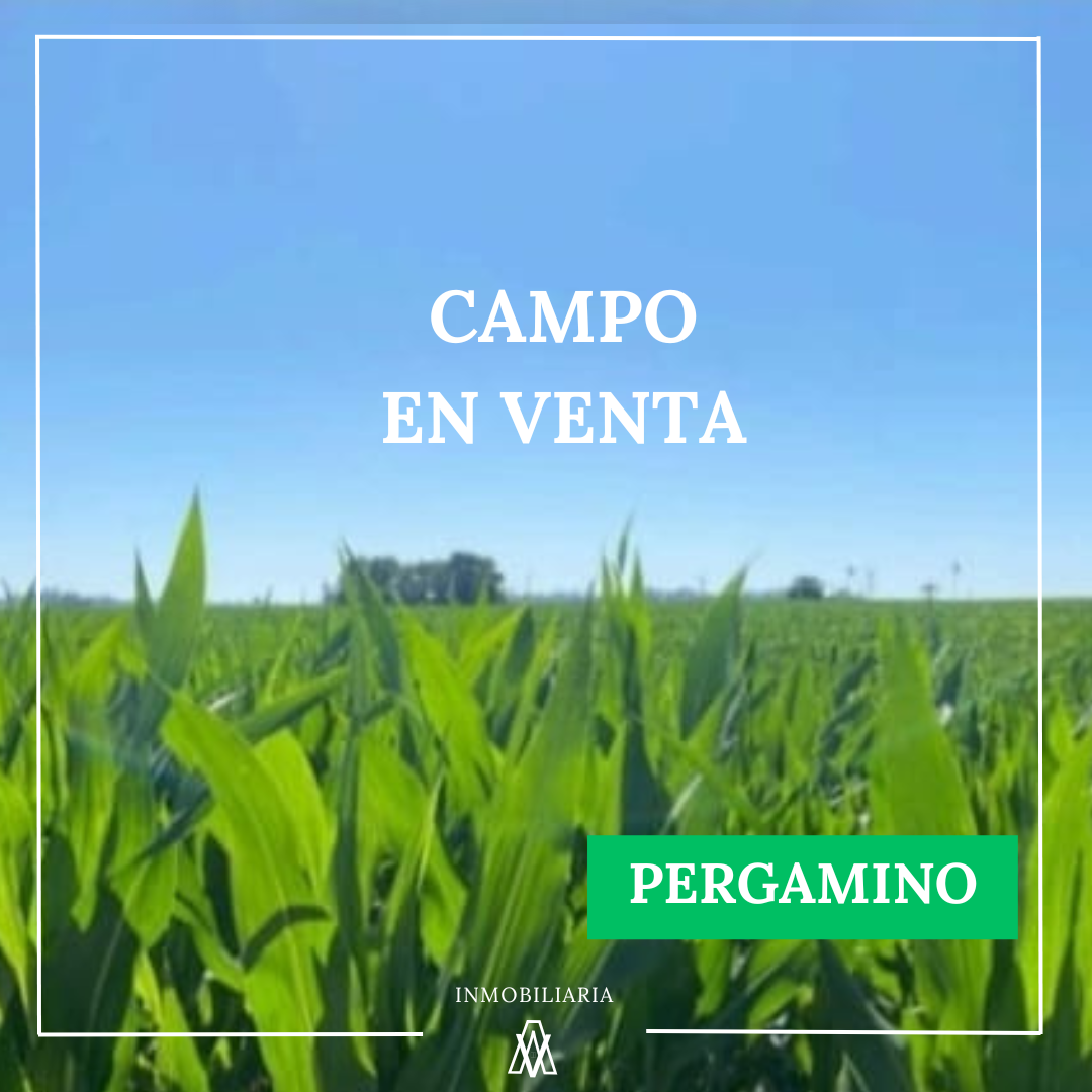 CAMPO EN PERGAMINO 690 HAS