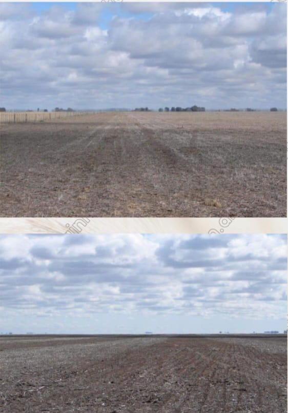 CAMPO EN GENERAL VILLEGAS