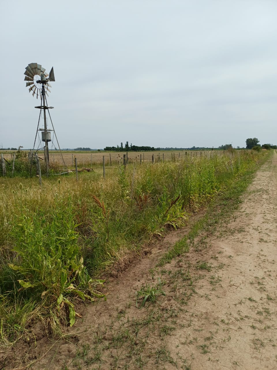 CAMPO EN SAN ANTONIO DE ARECO