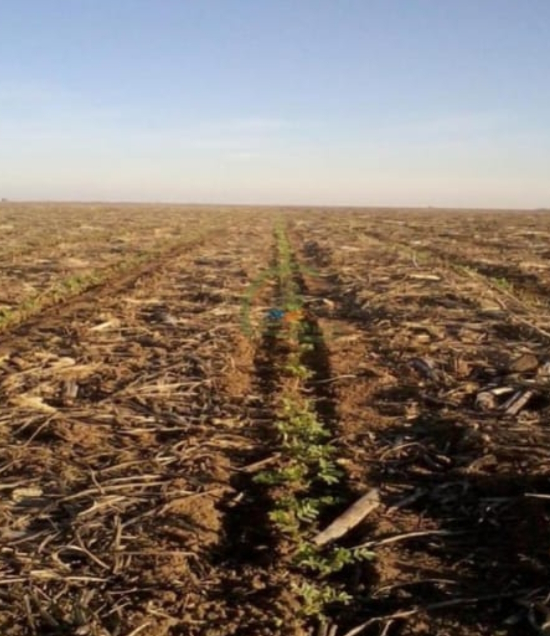 Campo en General Villegas 763 has