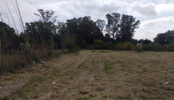 LOTE CAÑUELAS/ PELUFFO-LA CAÑADA II