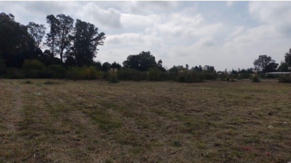 LOTE CAÑUELAS/ PELUFFO-LA CAÑADA II