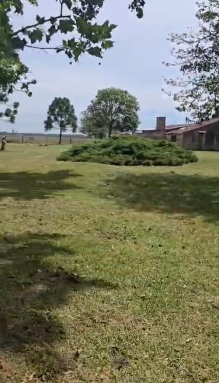 Campo en San Vicente 105 has