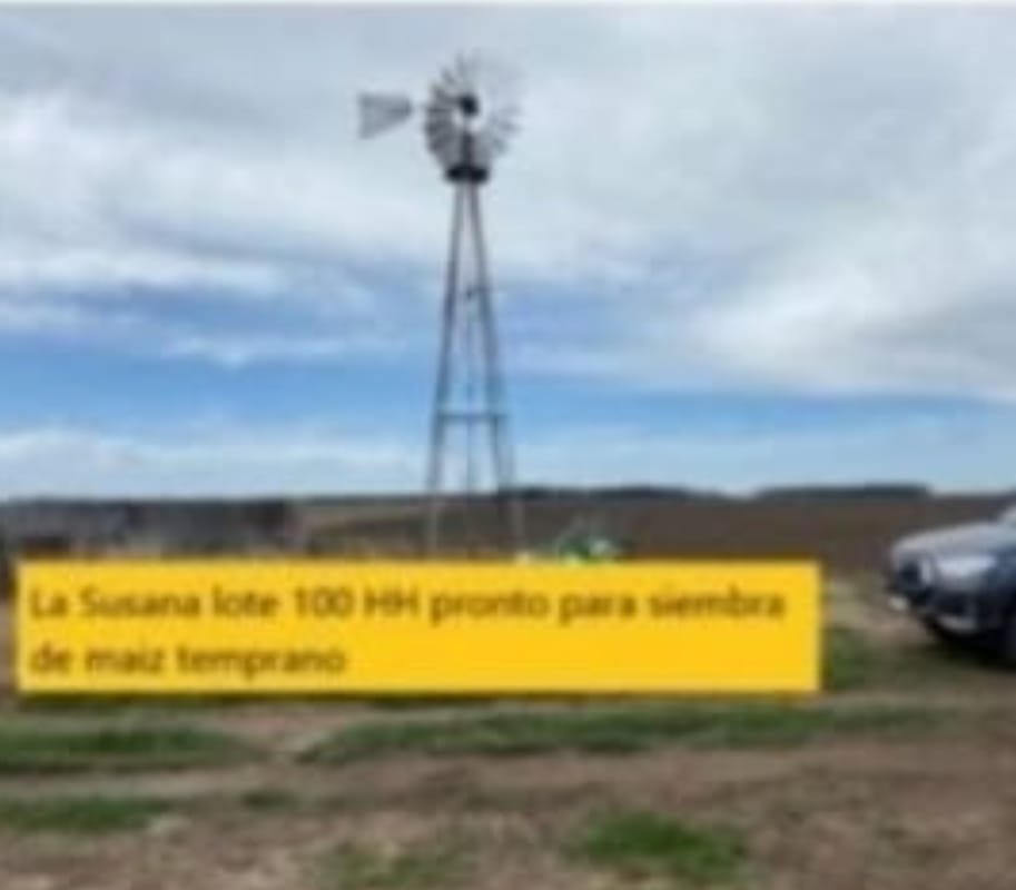 Campo en San Cayetano 536 has