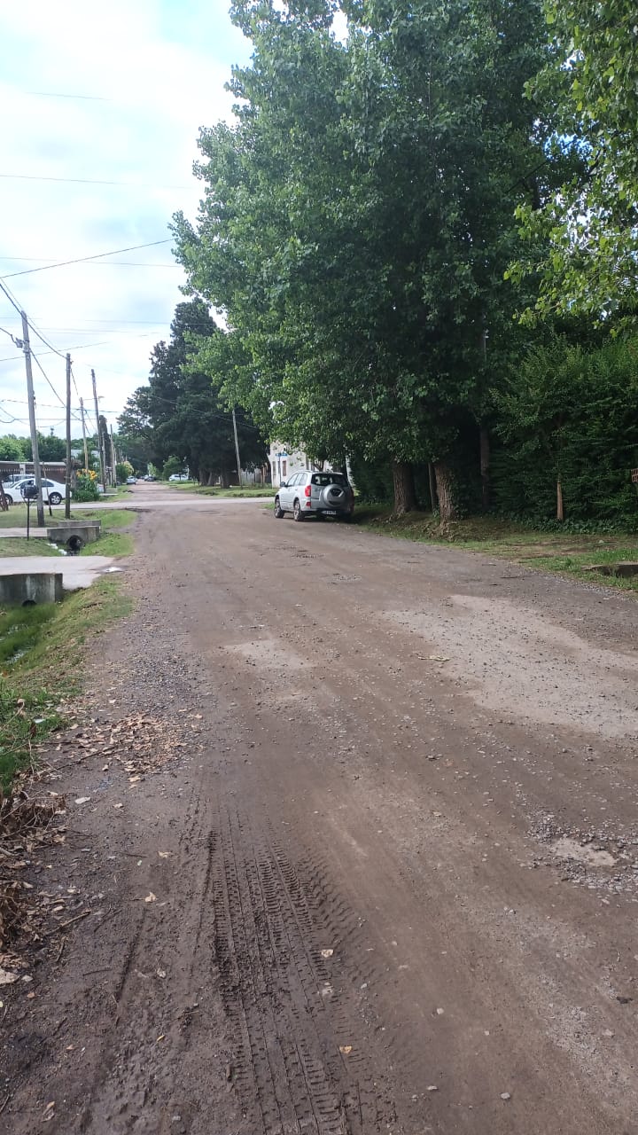 LOTE CAÑUELAS/LOS AROMOS