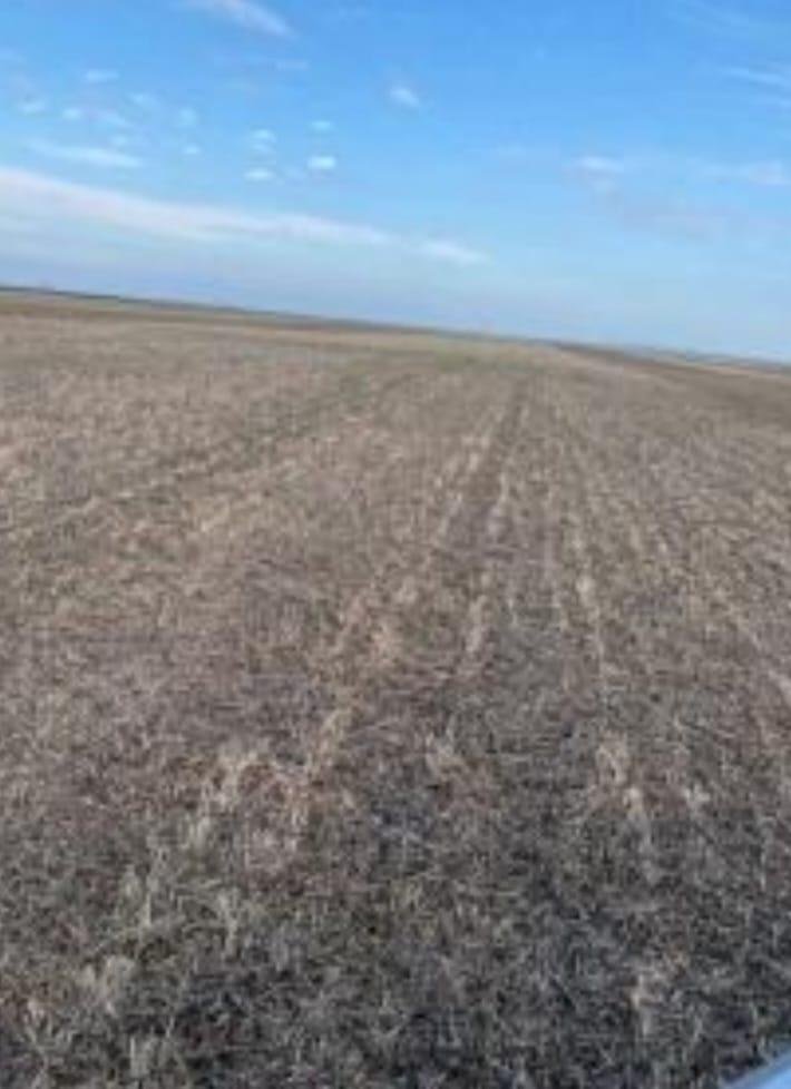 ESTANCIAS LA TORCAZ Y LA GORLESE