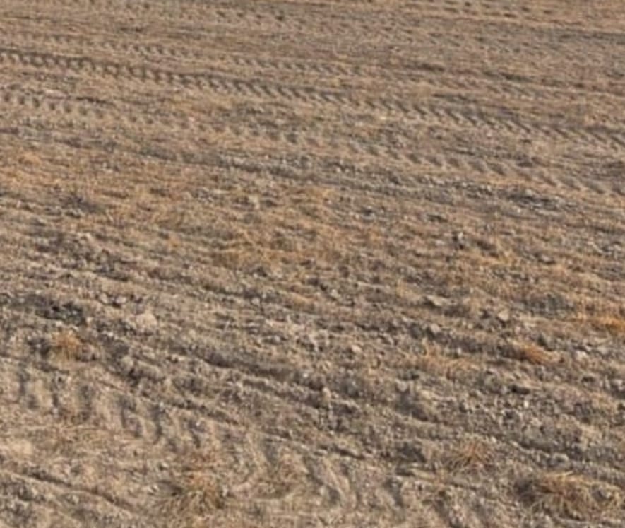 Campo en puán 1240 has