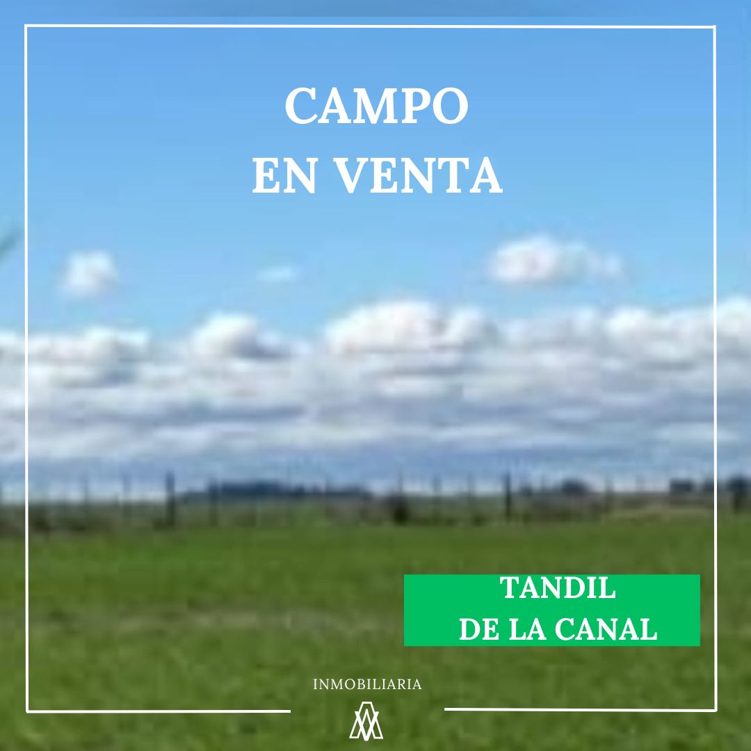 Campo en Tandil 431 has