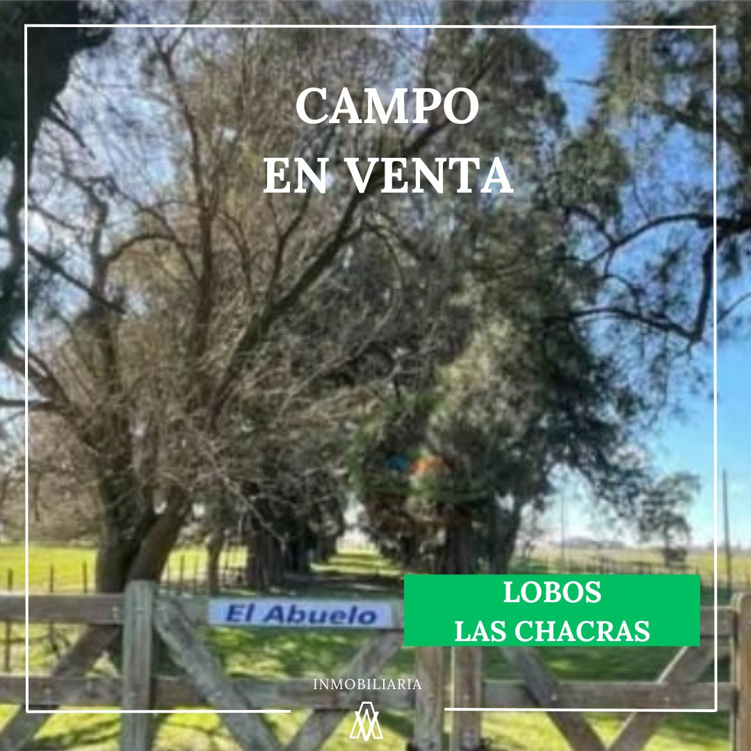 Campo en Lobos 45 has