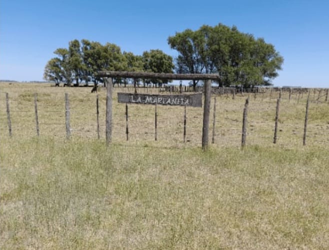 CAMPO EN GONZÁLES CHÁVEZ