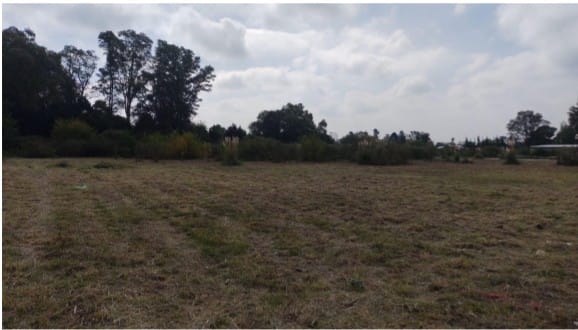 LOTE CAÑUELAS/ PELUFFO-LA CAÑADA II