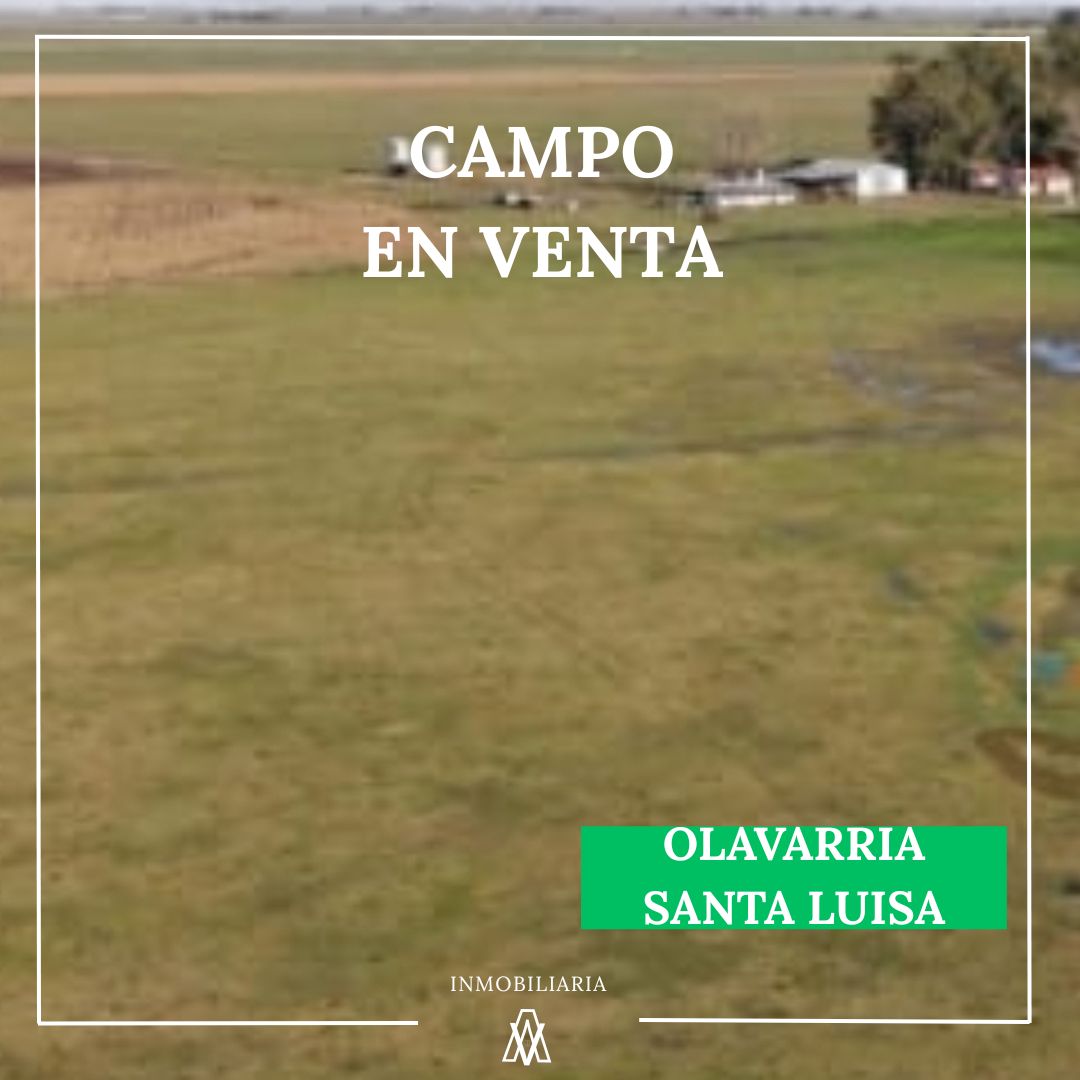 Campo en Olavarria 1437 has