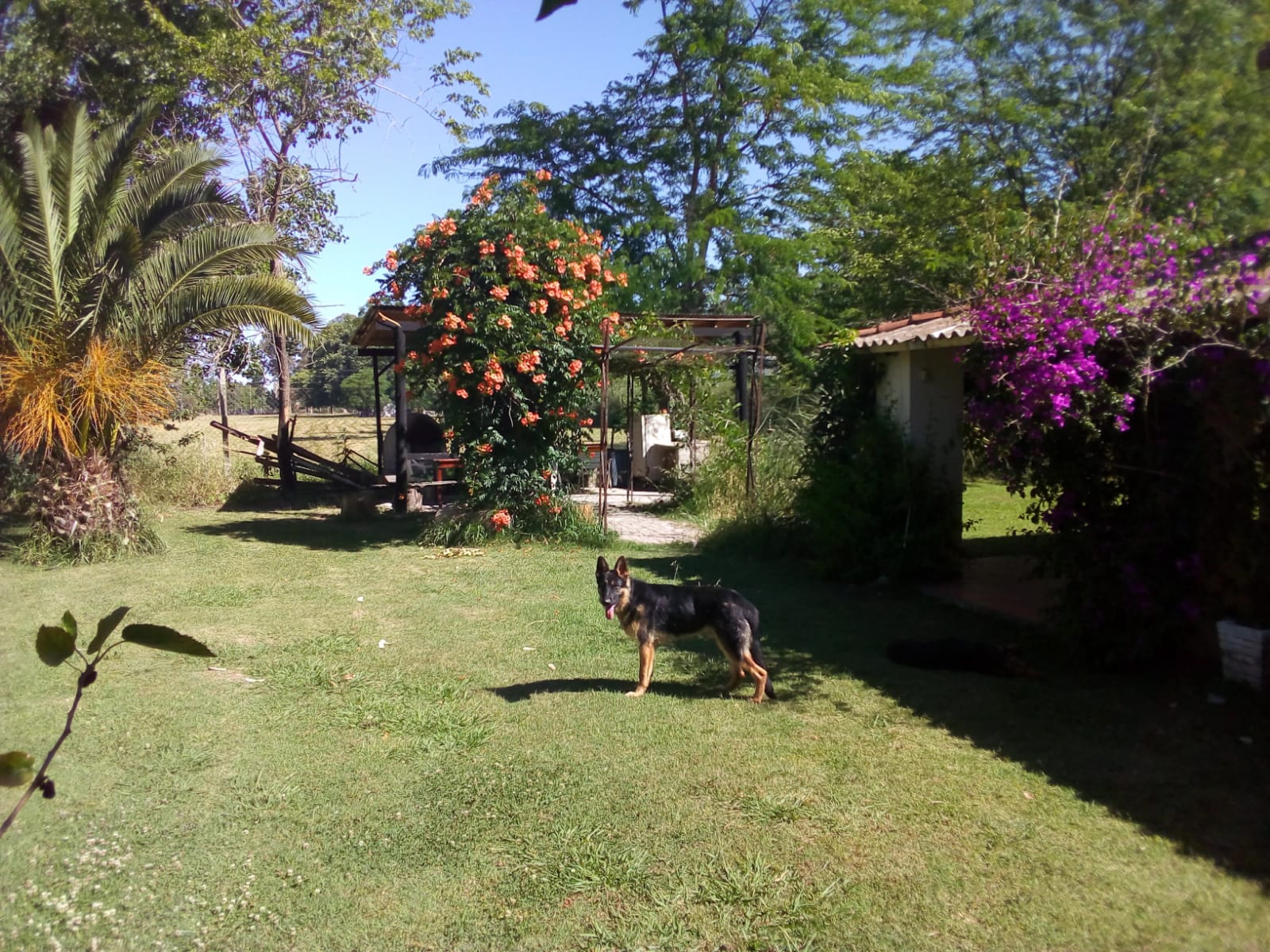 Casa Quinta en Santa Anita-Cañuelas