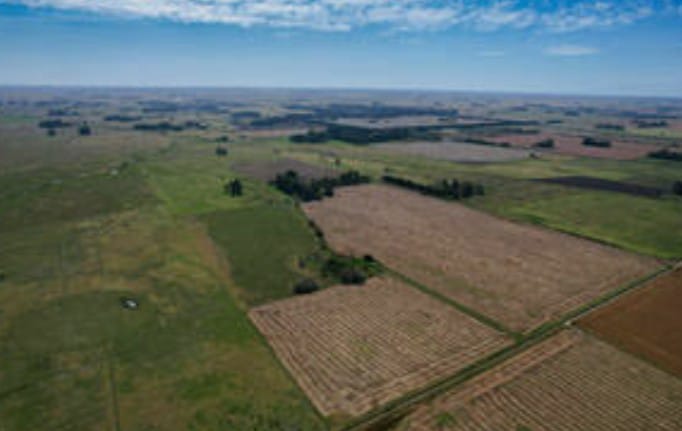 CAMPO EN CARLOS KEEN