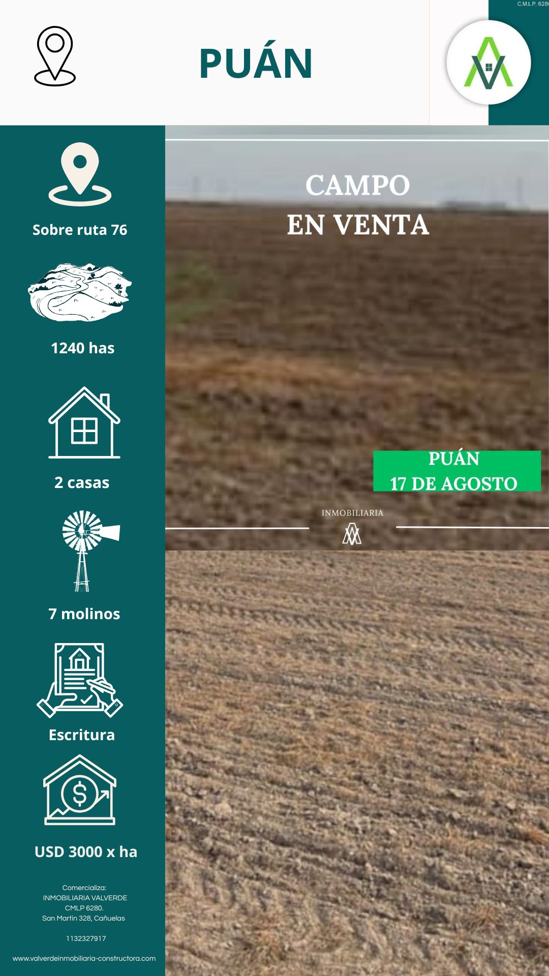 Campo en puán 1240 has