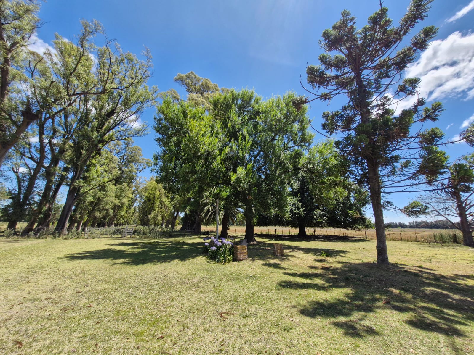 CAMPO EN SAN VICENTE