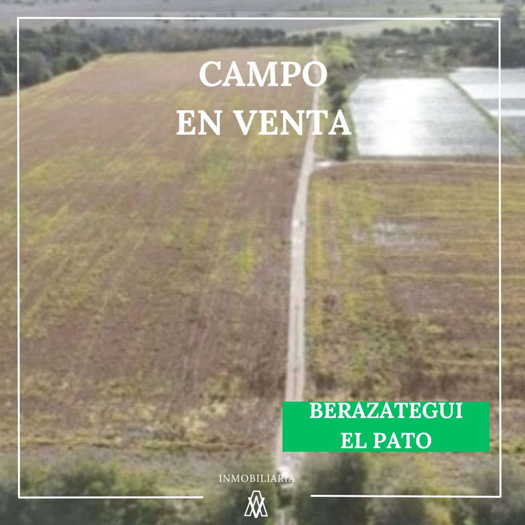Campo en Berazategui 31,5 has