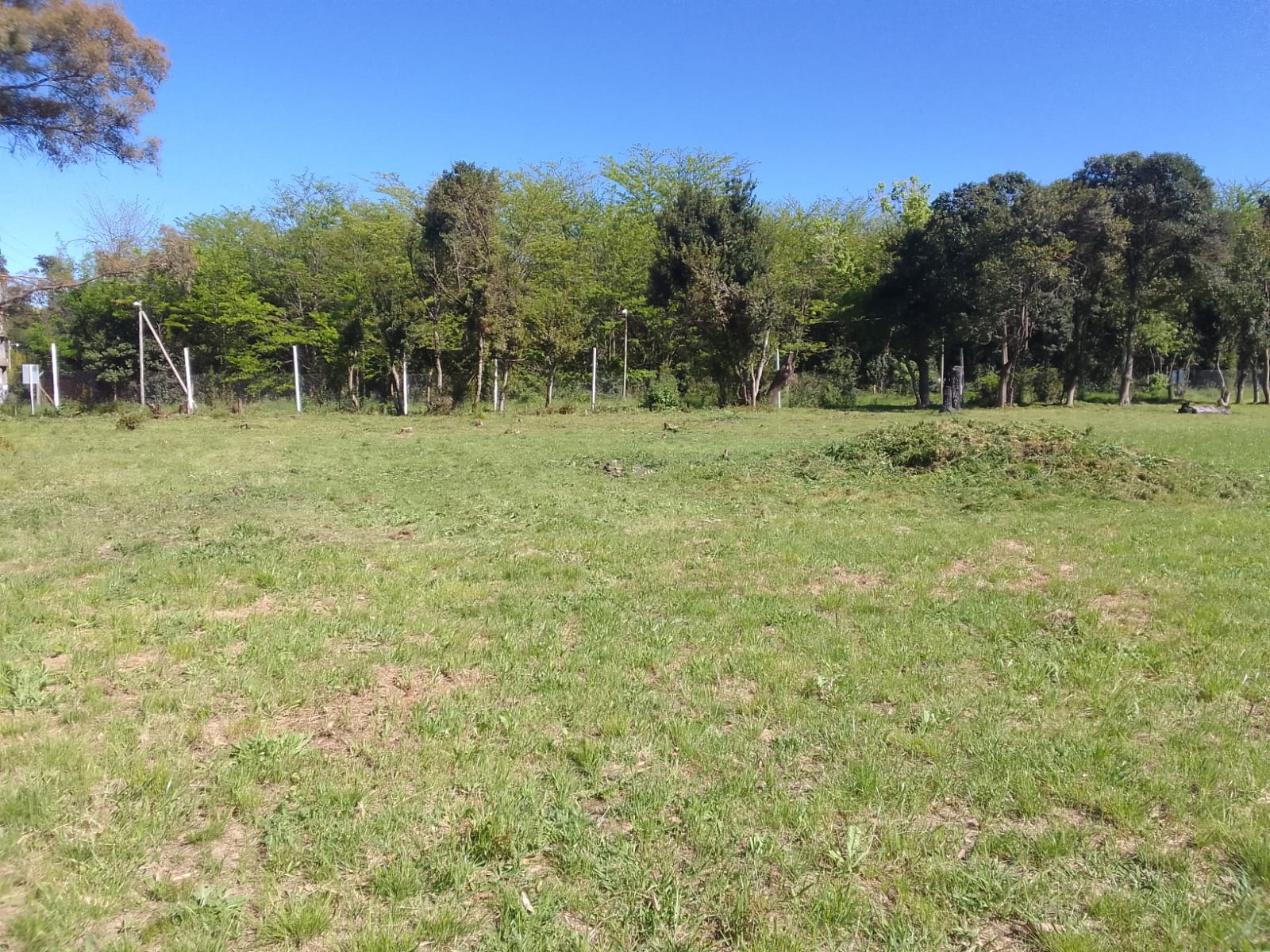 CAMPO MARIANO ACOSTA/BRISAS DE RÍO ALEGRE