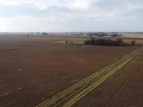 CAMPO EN CARLOS KEEN