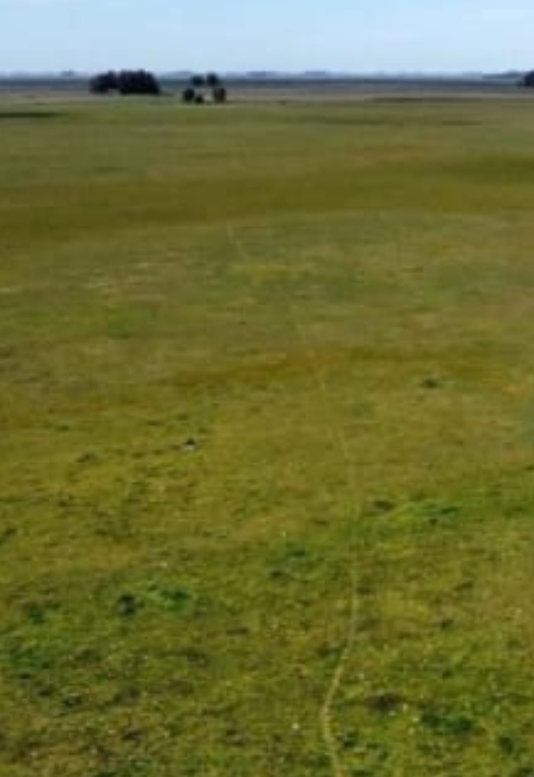 Campo en Rauch 227 has