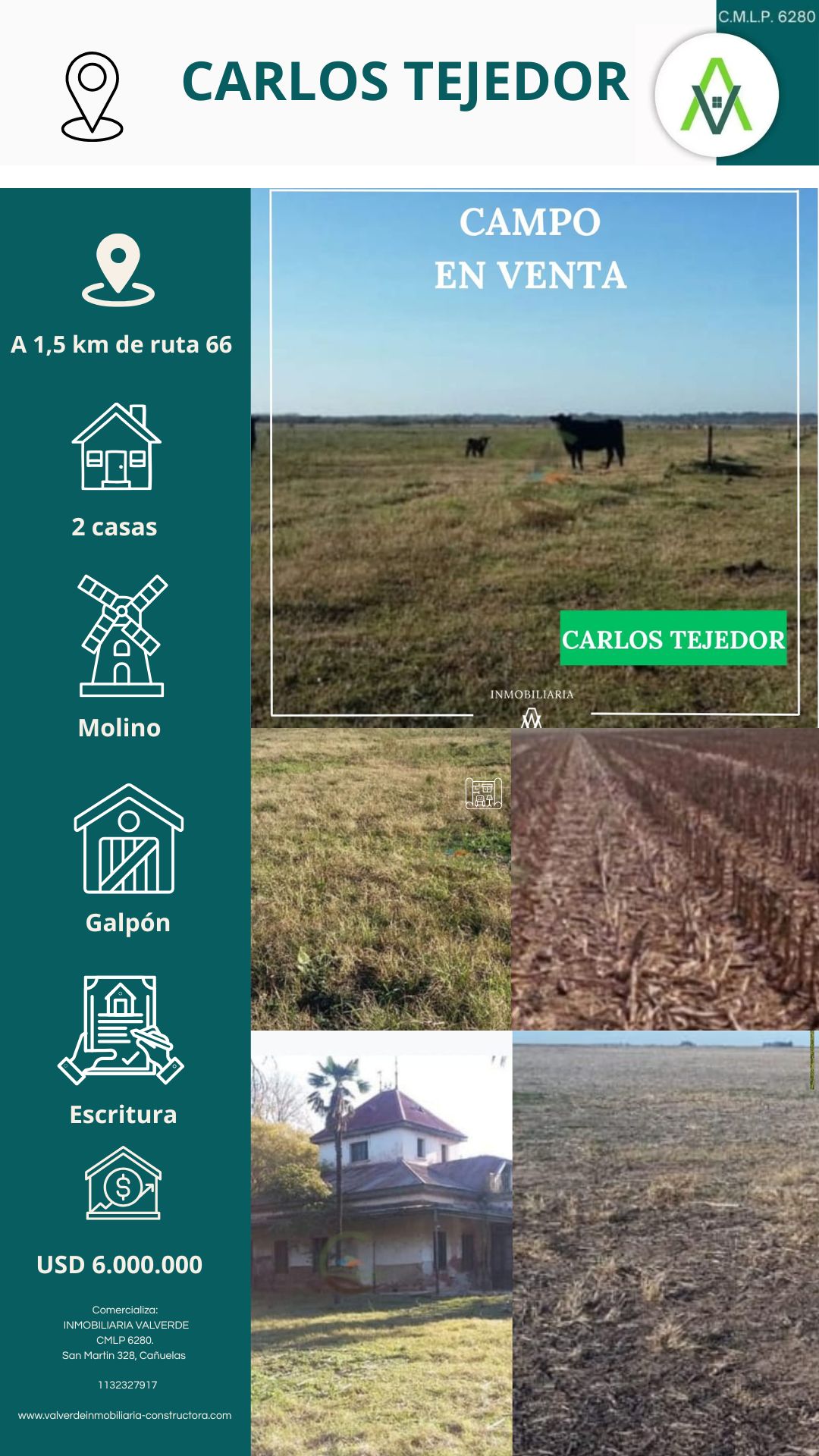 Campo en Carlo Tejedor 936 has