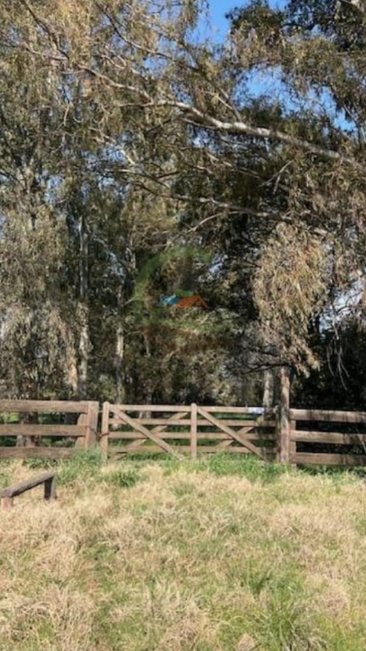 Campo en las flores 422 has