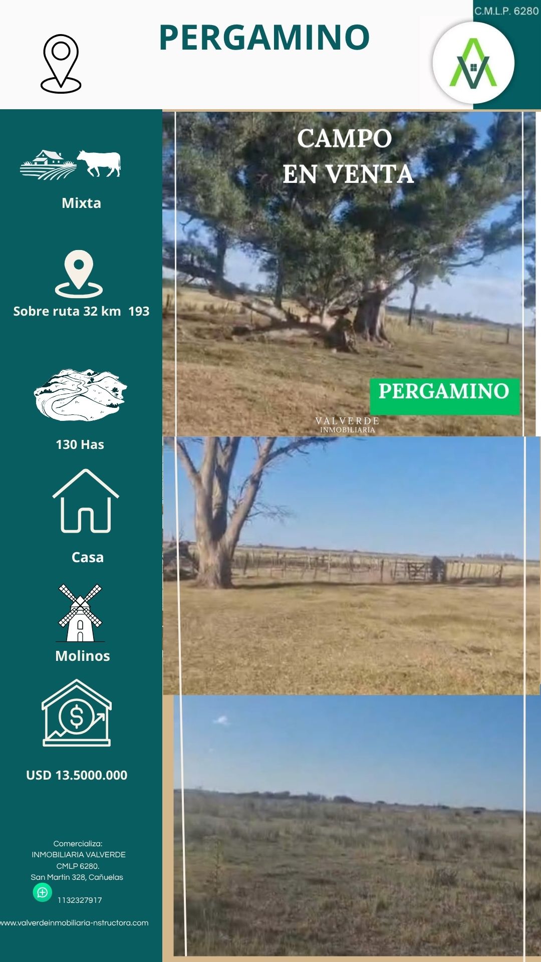 CAMPO EN PERGAMINO
