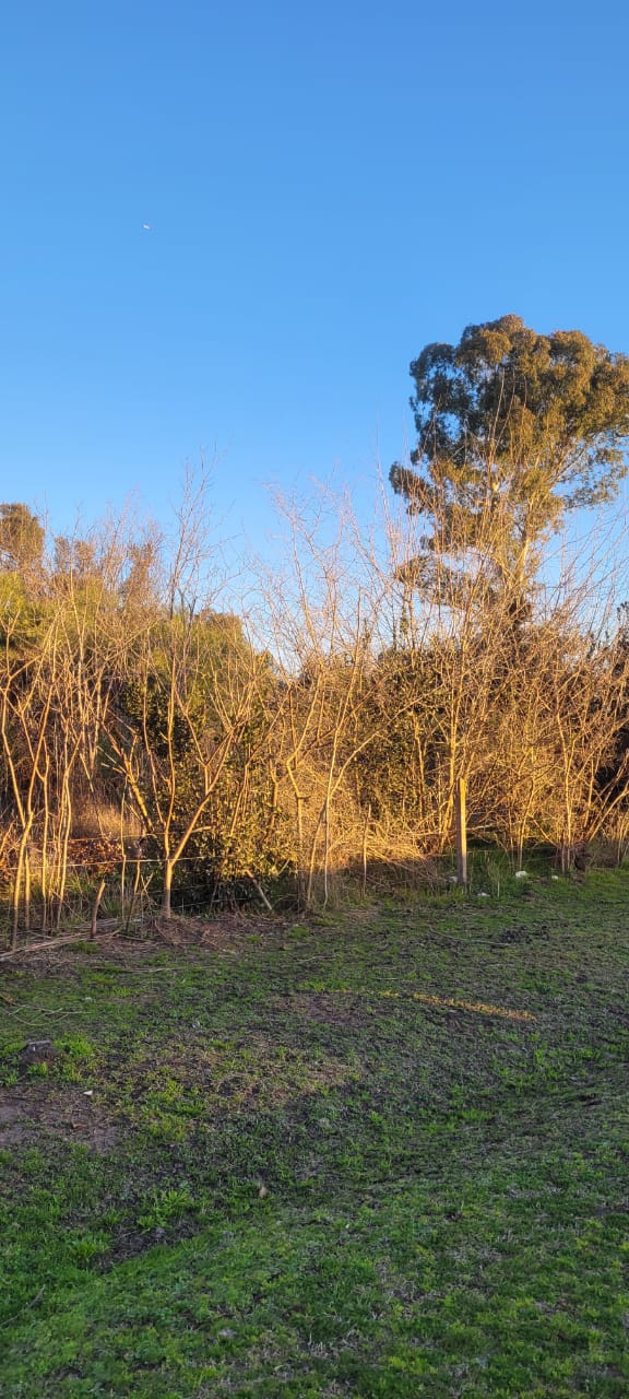 LOTE CON PILETA EN CAÑUELAS/SANTA ANITA