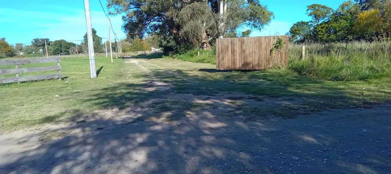 LOTE CAÑUELAS/LAS MAGNOLIAS