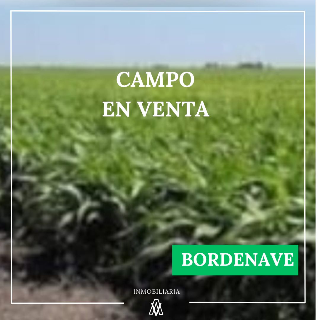 Campo en Bordenave 930 has