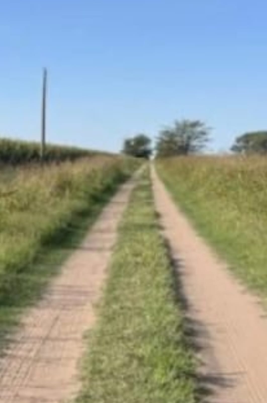 Campo en Daireaux 120 has