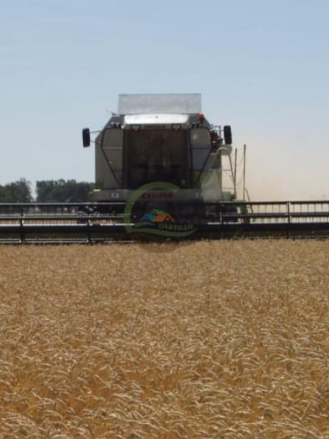 Campo en General Villegas 763 has